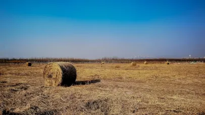 Casino Lucky Pants Bingo App Mobile